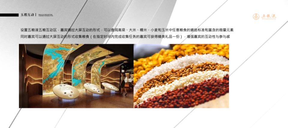 五粮液品牌文化巡礼山东站活动策划方案