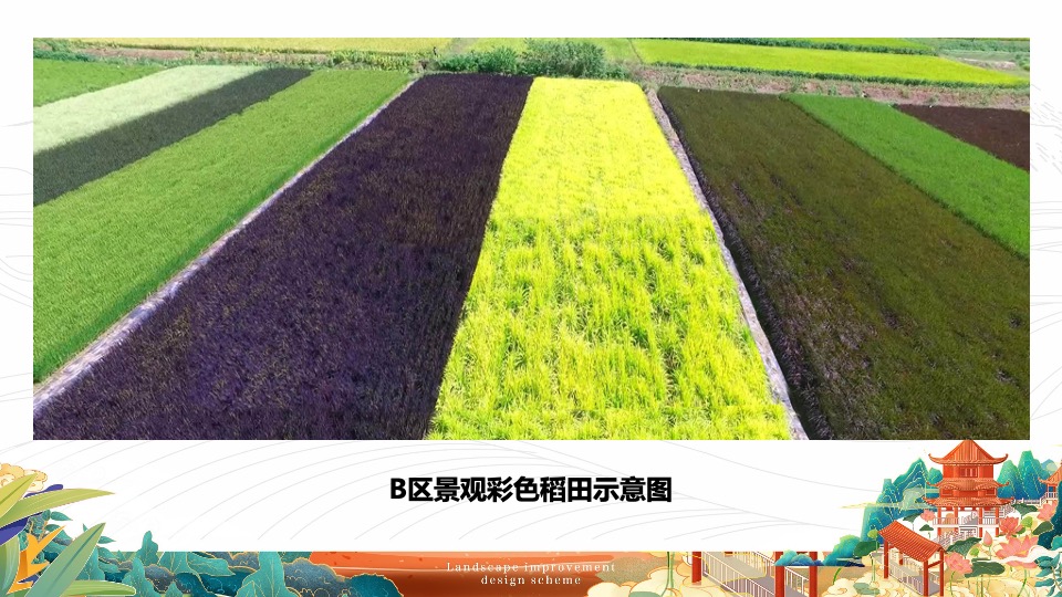 杨万里诗画小镇农田景观工程提升设计方案