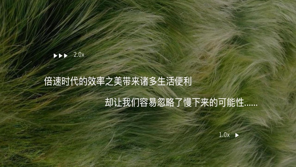 山外山×玉鸟集端午限定市集（夏日好荷市主题）活动策划方案