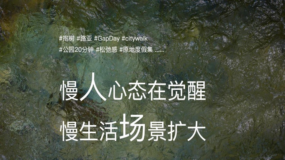 山外山×玉鸟集端午限定市集（夏日好荷市主题）活动策划方案