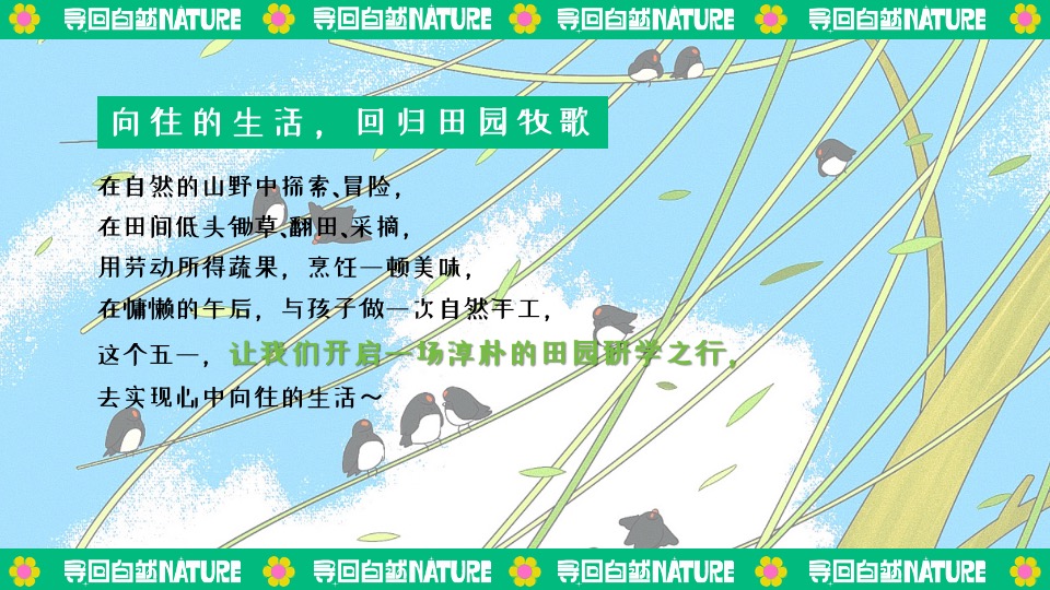 田园研学趣野生活节（寻找自然NATURE主题）活动策划方案