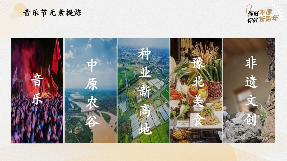 中原农谷音乐节动整体执行方案