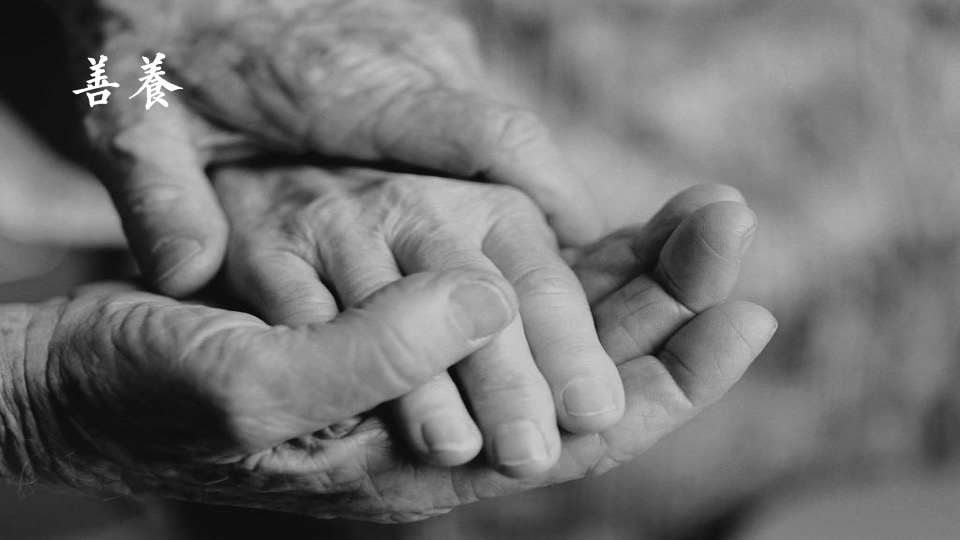 北大资源集团养老品牌提案#天津深度广告#