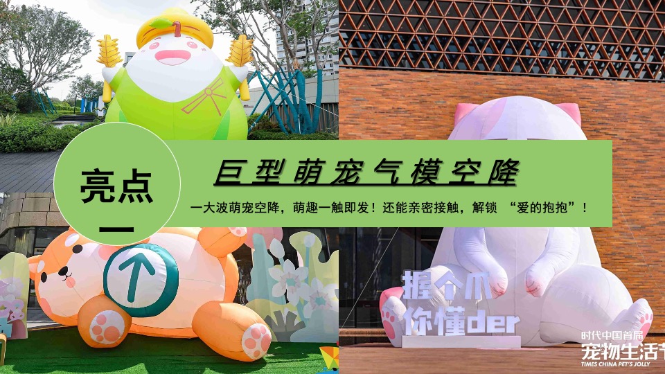 地产项目端午节萌宠市集（萌宠嘉年华·粽享趣时光主题）活动策划方案