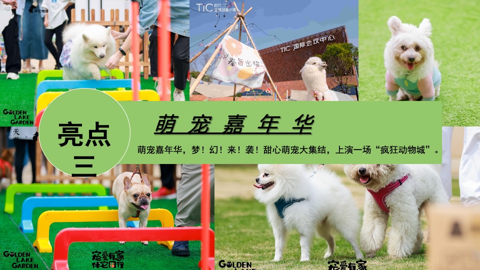 地产项目端午节萌宠市集（萌宠嘉年华·粽享趣时光主题）活动策划方案