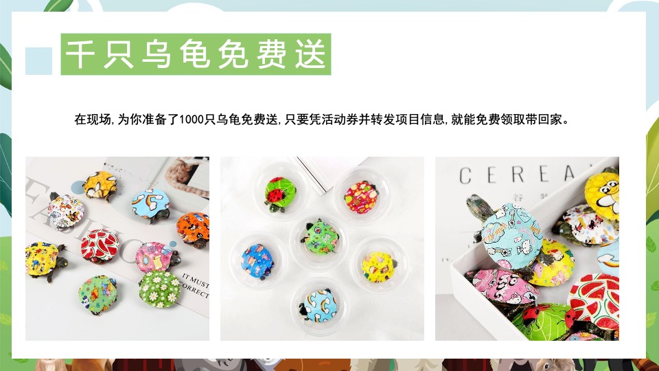 地产项目端午节萌宠市集（萌宠嘉年华·粽享趣时光主题）活动策划方案