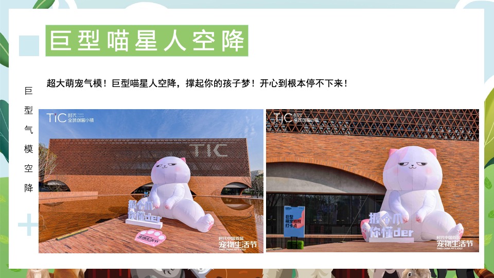 地产项目端午节萌宠市集（萌宠嘉年华·粽享趣时光主题）活动策划方案
