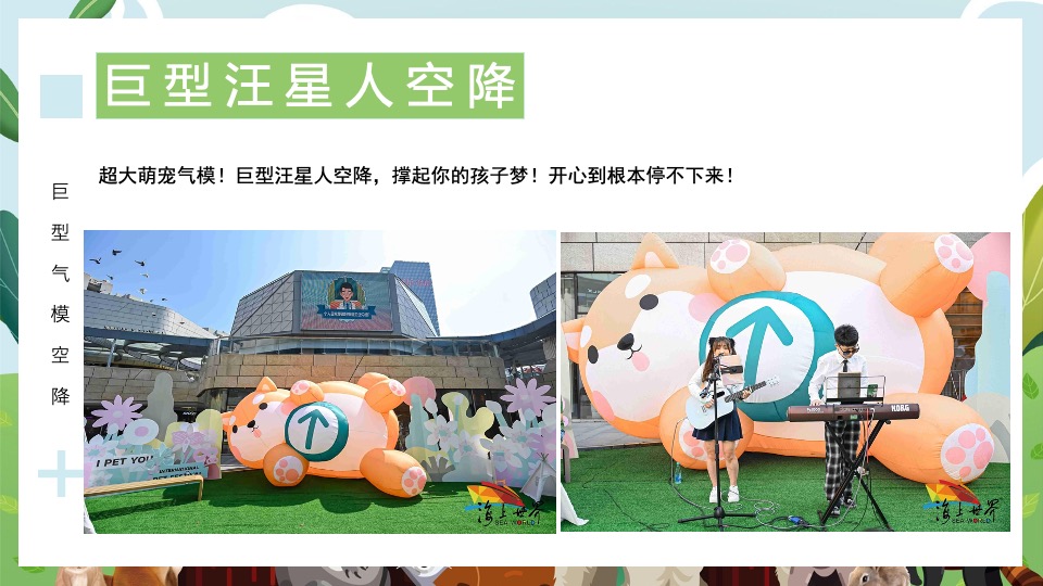 地产项目端午节萌宠市集（萌宠嘉年华·粽享趣时光主题）活动策划方案