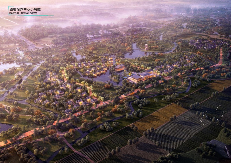 崇州国医特色小镇总体规划设计方案