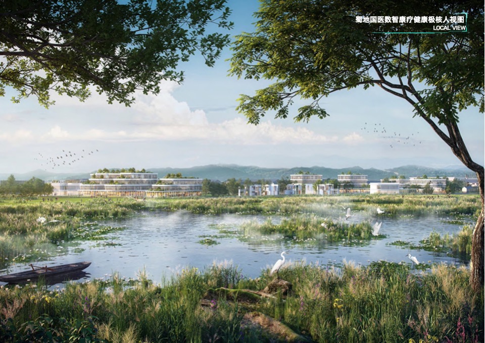 崇州国医特色小镇总体规划设计方案