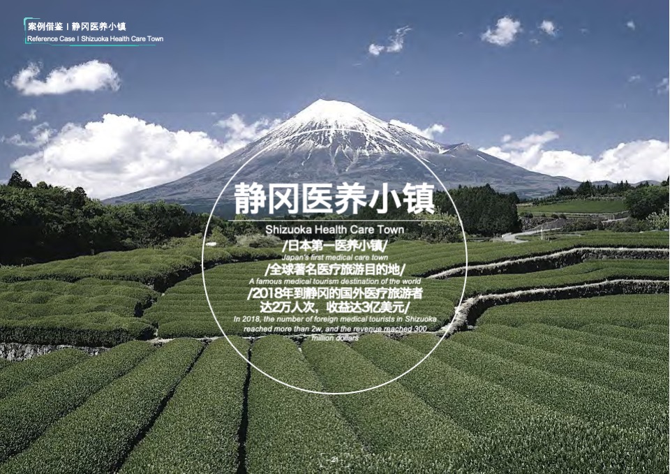 崇州国医特色小镇总体规划设计方案