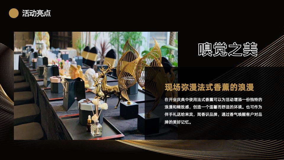 高端医美开业盛典（闪耀新生·与美同行主题）活动策划方案