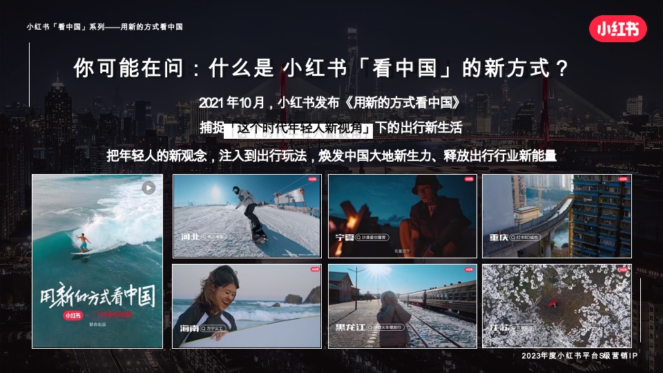 小红书宝藏成分在中国 招商通案