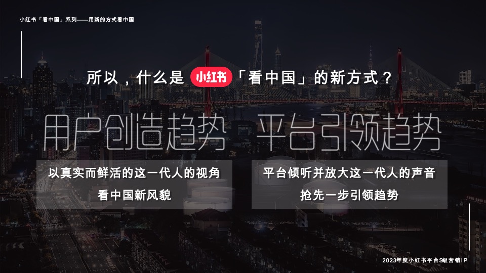 小红书宝藏成分在中国 招商通案