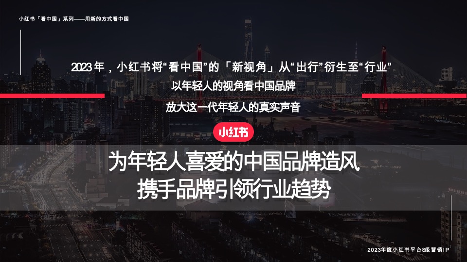 小红书宝藏成分在中国 招商通案