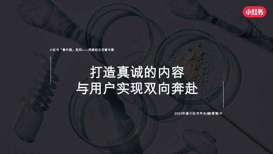 小红书宝藏成分在中国 招商通案