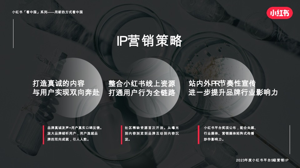 小红书宝藏成分在中国 招商通案