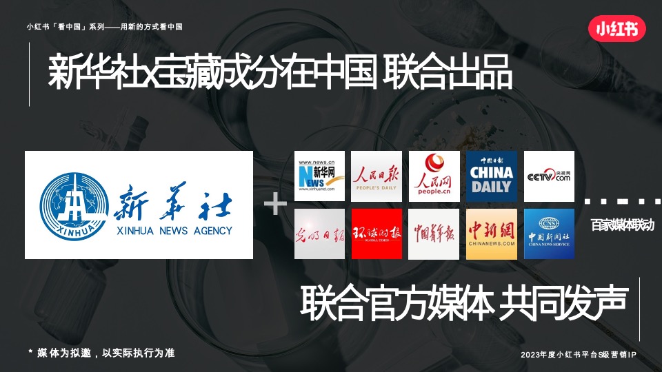 小红书宝藏成分在中国 招商通案