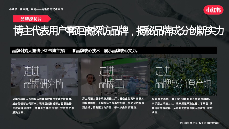 小红书宝藏成分在中国 招商通案