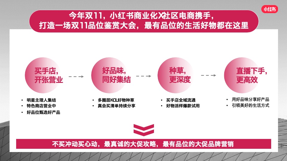 双11真会买买手店-小红书电商内循环IP招商方案