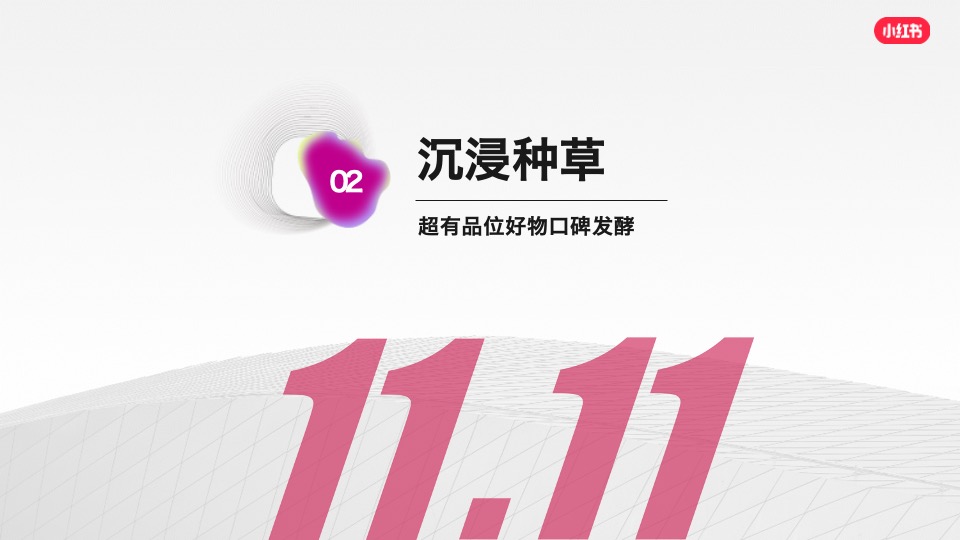 双11真会买买手店-小红书电商内循环IP招商方案