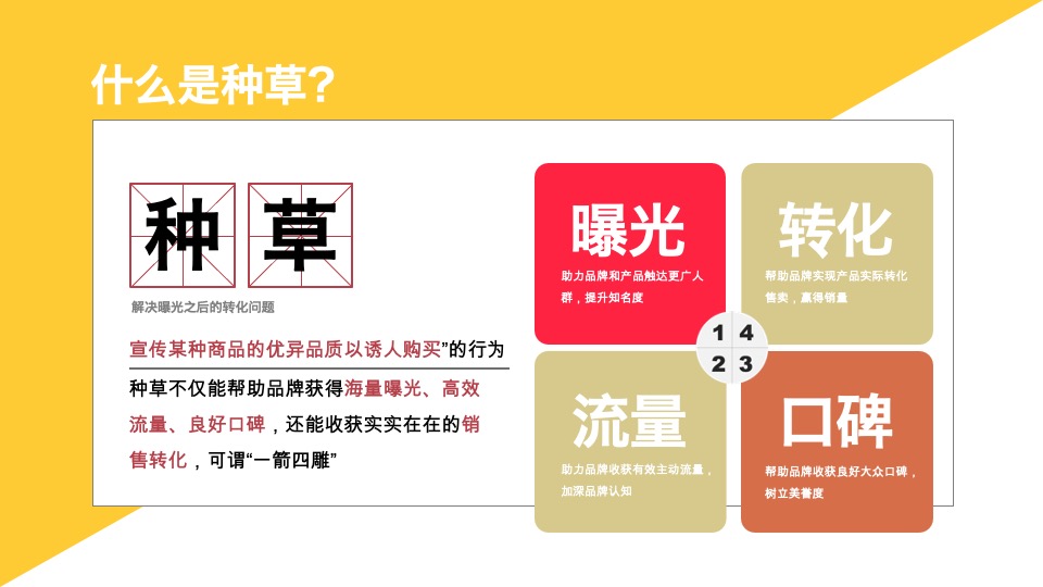 小红书单品种草案