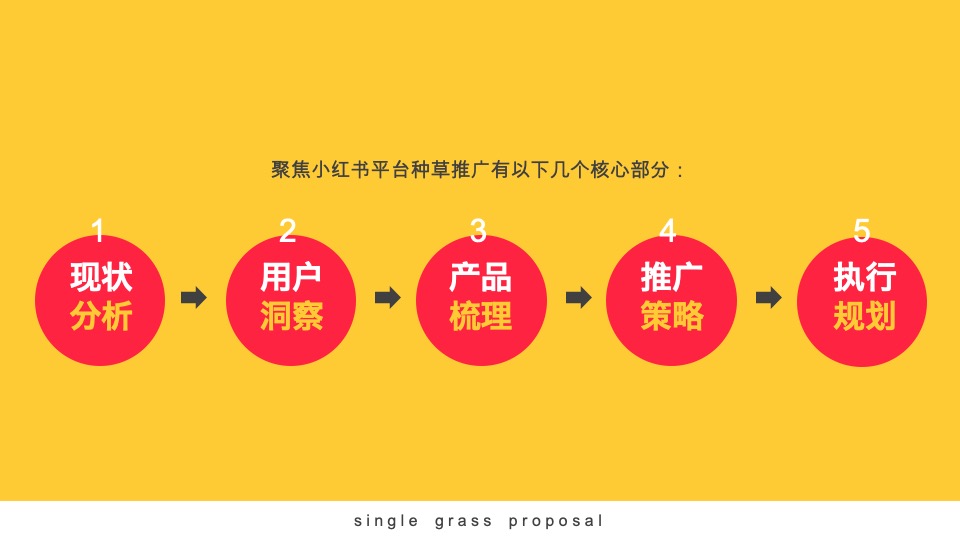 小红书单品种草案