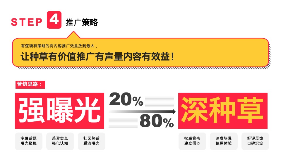 小红书单品种草案