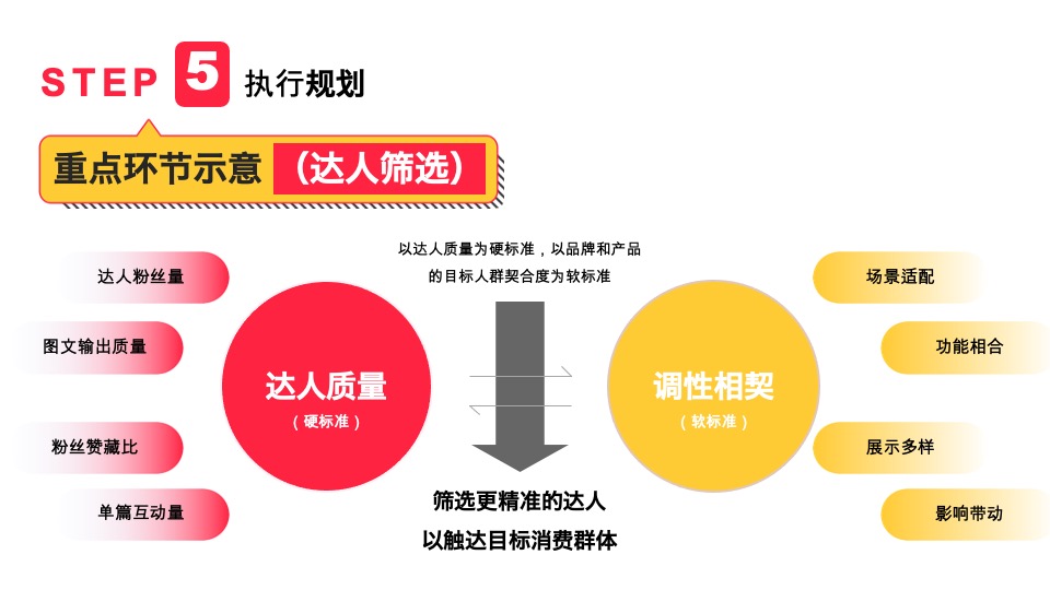 小红书单品种草案