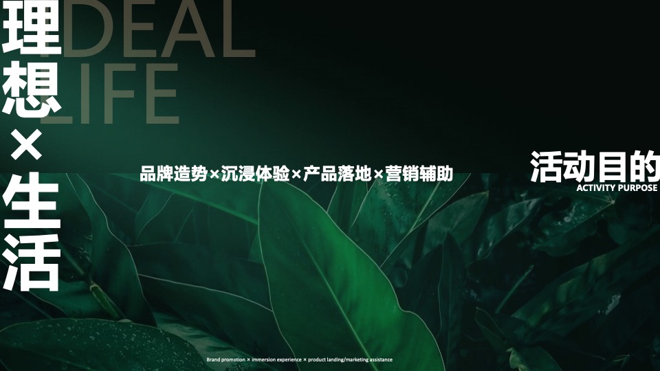 地产项目城市理想生活节暨产品发布会（我把理想说给你听主题）活动策划方案