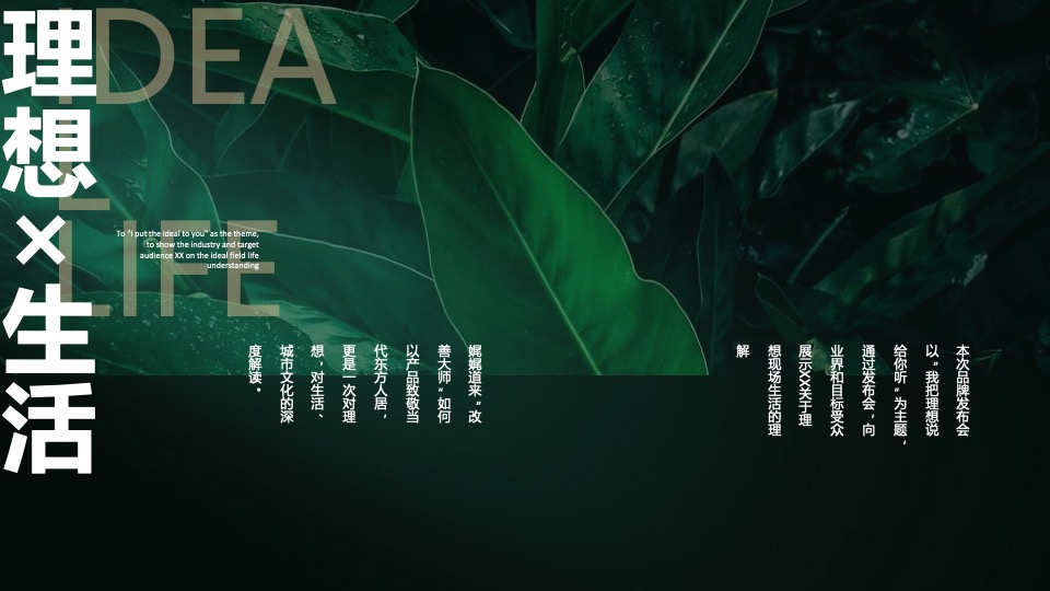 地产项目城市理想生活节暨产品发布会（我把理想说给你听主题）活动策划方案
