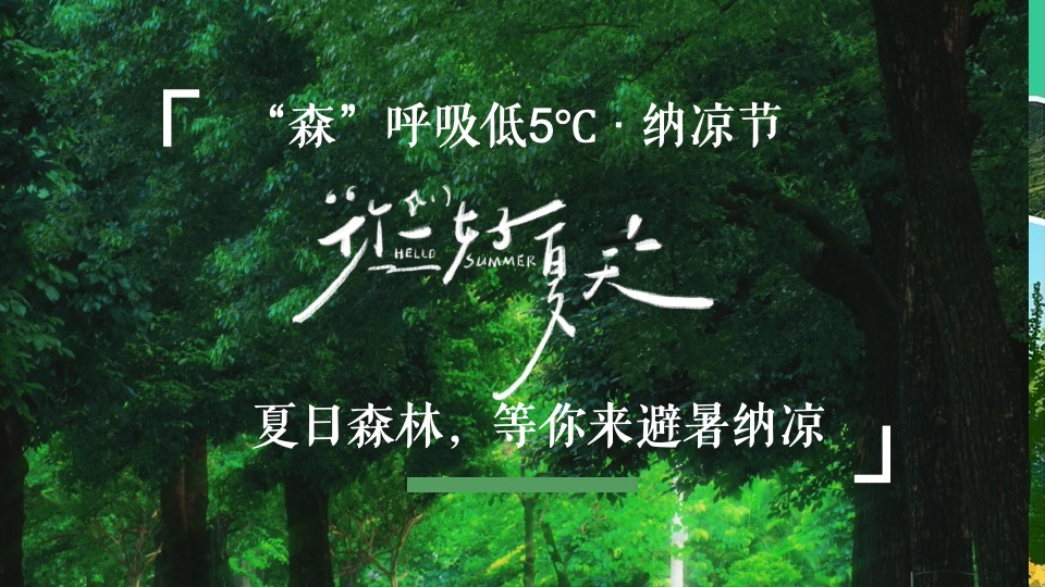 文旅景区夏日山野分享会（森林纳凉计划主题）活动策划方案