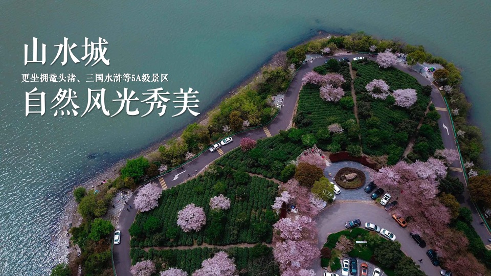 文旅景区文化旅游节暨雪浪茶文化节（山水旅情主题）活动策划方案