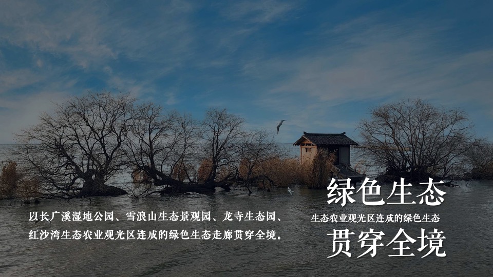 文旅景区文化旅游节暨雪浪茶文化节（山水旅情主题）活动策划方案