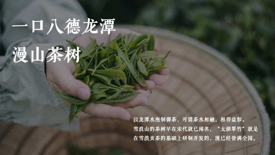 文旅景区文化旅游节暨雪浪茶文化节（山水旅情主题）活动策划方案