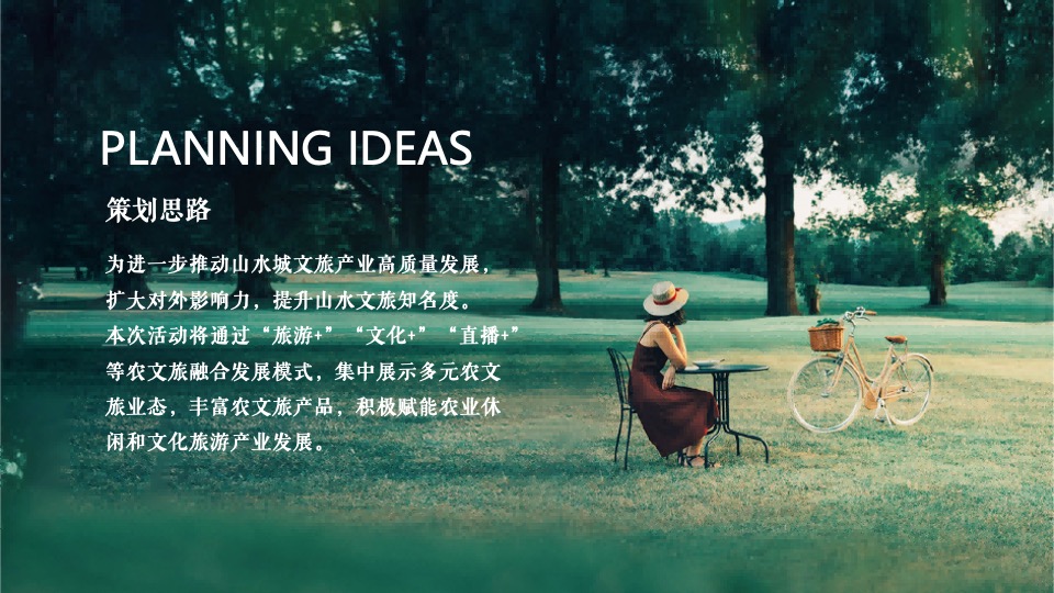 文旅景区文化旅游节暨雪浪茶文化节（山水旅情主题）活动策划方案