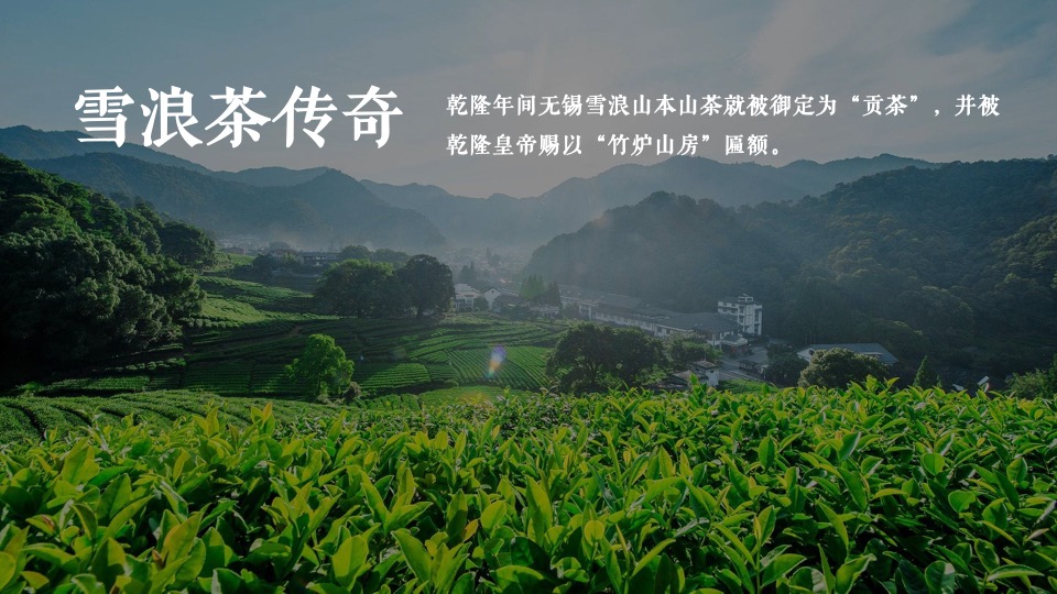 文旅景区文化旅游节暨雪浪茶文化节（山水旅情主题）活动策划方案
