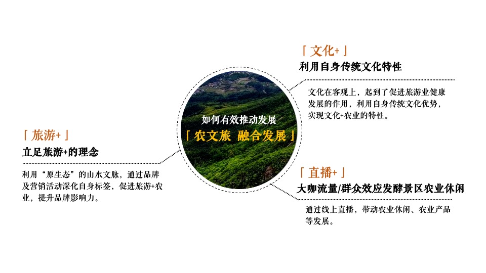 文旅景区文化旅游节暨雪浪茶文化节（山水旅情主题）活动策划方案