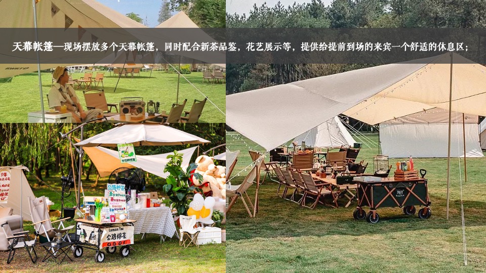 文旅景区文化旅游节暨雪浪茶文化节（山水旅情主题）活动策划方案