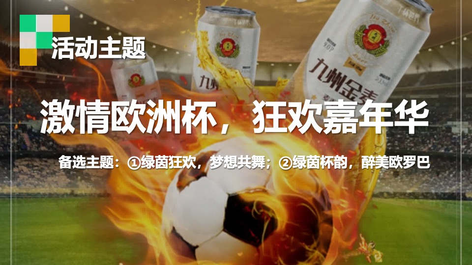地产项目夏季欧洲杯啤酒节嘉年华（激情欧洲杯·狂欢嘉年华主题）活动策划方案