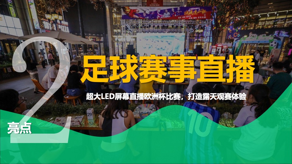 地产项目夏季欧洲杯啤酒节嘉年华（激情欧洲杯·狂欢嘉年华主题）活动策划方案