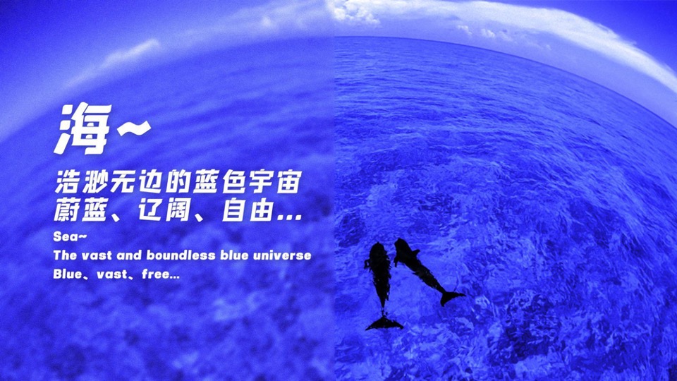 海南国际潜水节活动策划方案