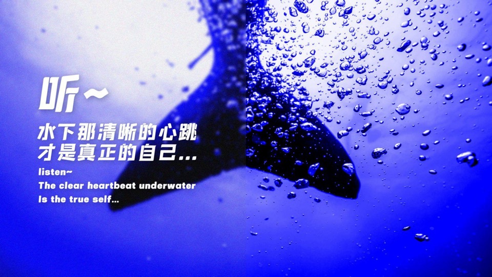 海南国际潜水节活动策划方案