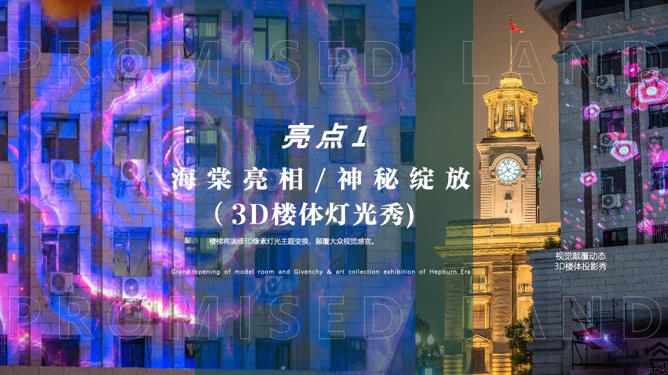 地产项目美学生活体验暨样板间开放（海棠绽放·向美而生主题）活动策划方案