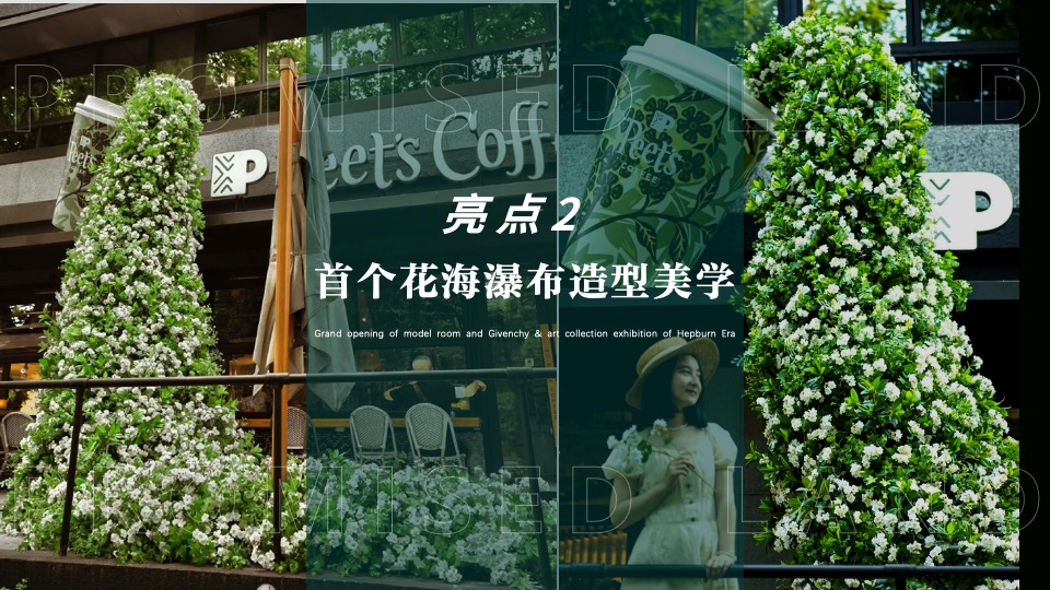 地产项目美学生活体验暨样板间开放（海棠绽放·向美而生主题）活动策划方案