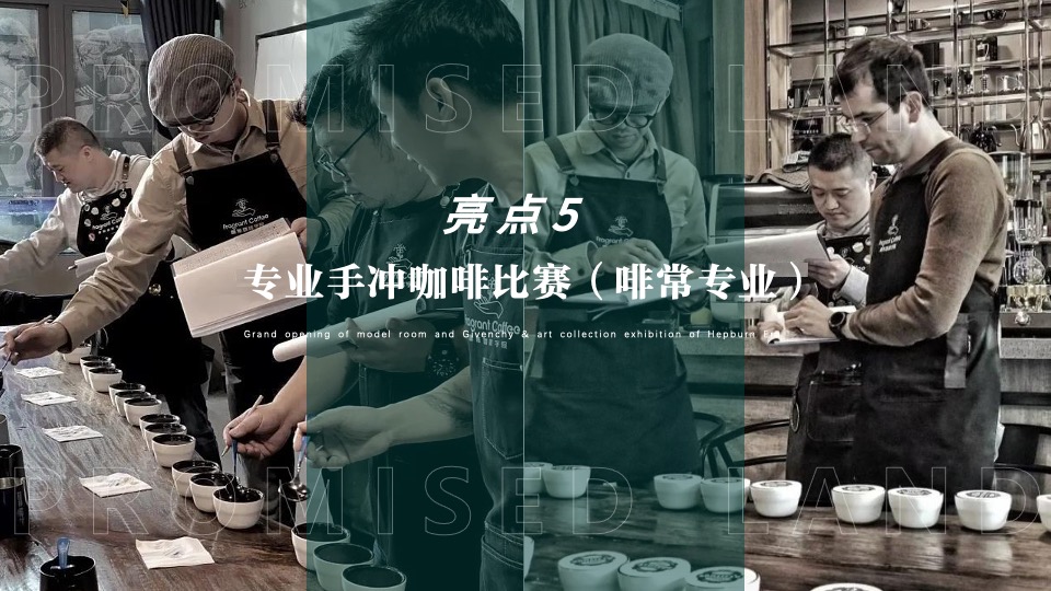 地产项目美学生活体验暨样板间开放（海棠绽放·向美而生主题）活动策划方案