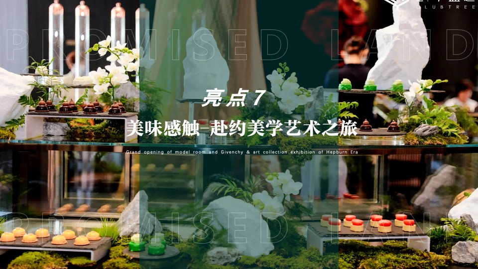 地产项目美学生活体验暨样板间开放（海棠绽放·向美而生主题）活动策划方案