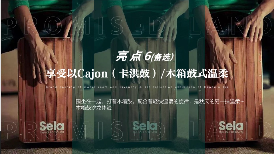 地产项目美学生活体验暨样板间开放（海棠绽放·向美而生主题）活动策划方案