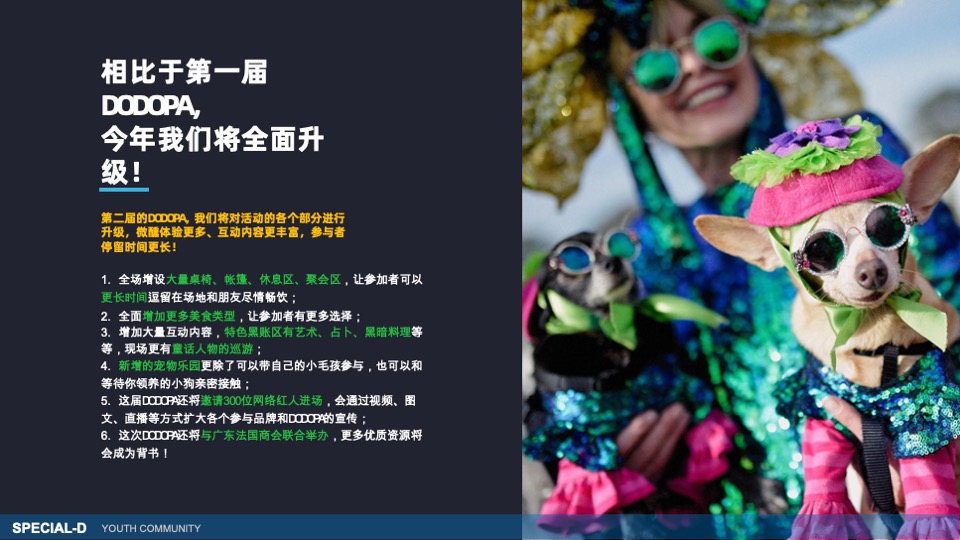 DODOPA野间微醺嘉年华一千零一夜的荒野派对活动招商方案