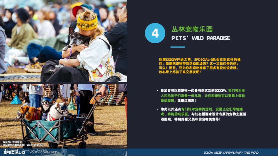 DODOPA野间微醺嘉年华一千零一夜的荒野派对活动招商方案